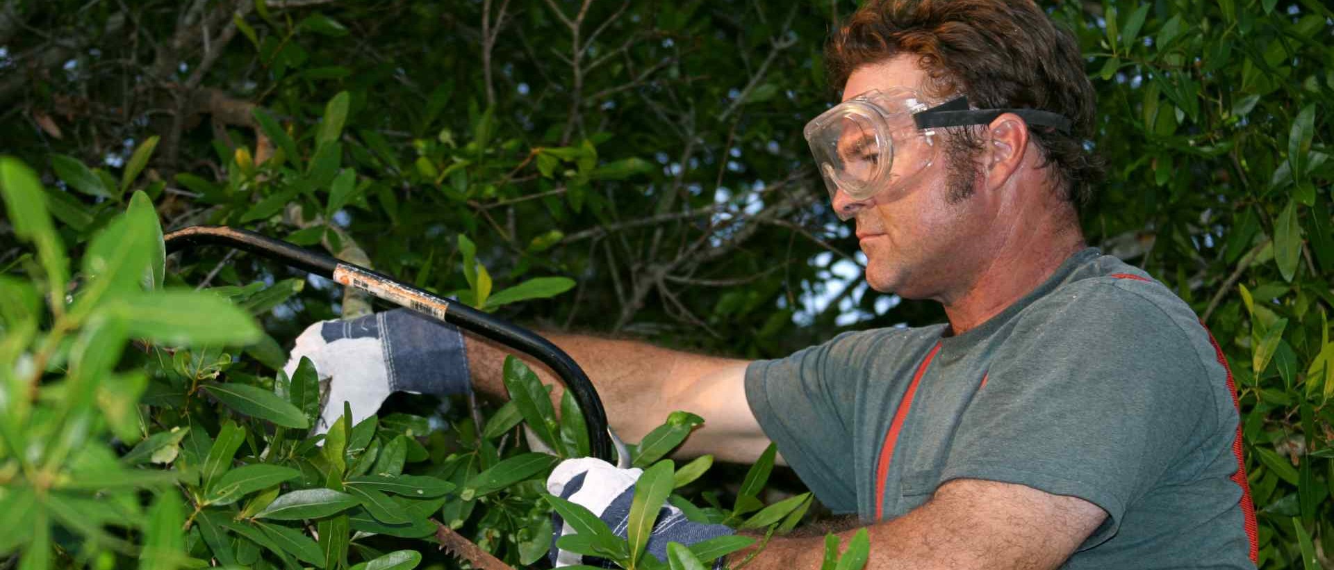 garden clearance SM4