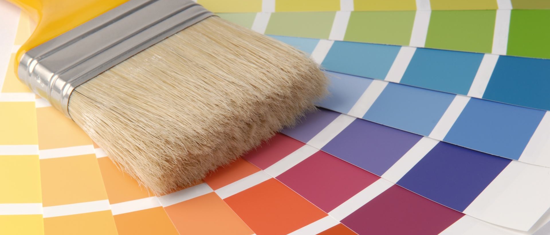 Painter SM4